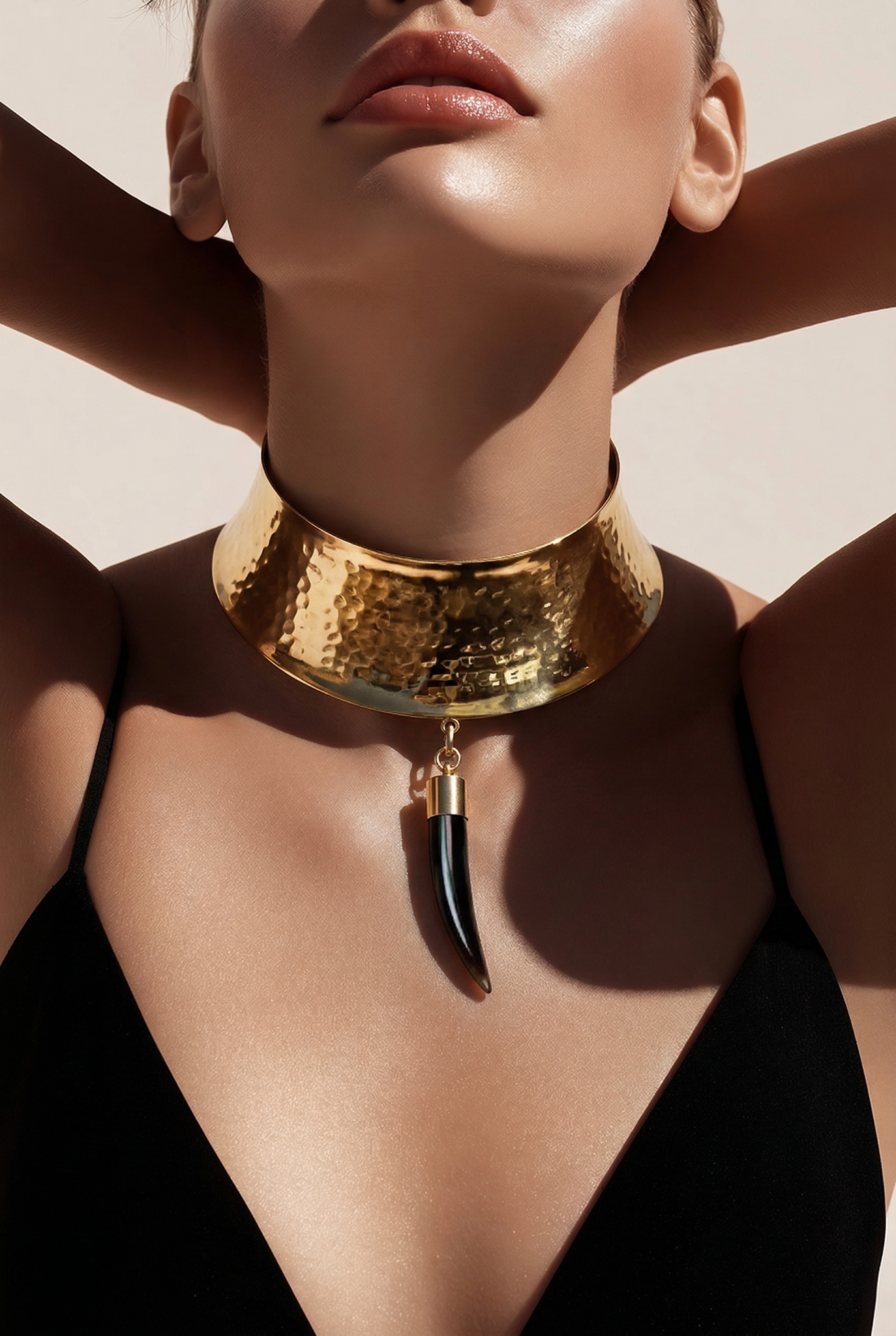 Horn Charm Choker Necklace