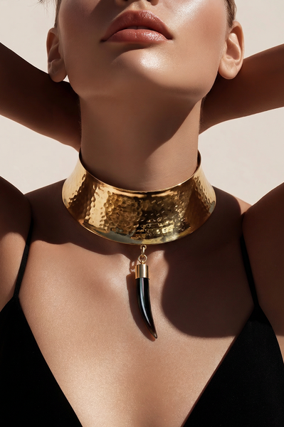 Horn Charm Choker Necklace